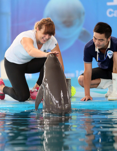 再次验证了 再次验证了